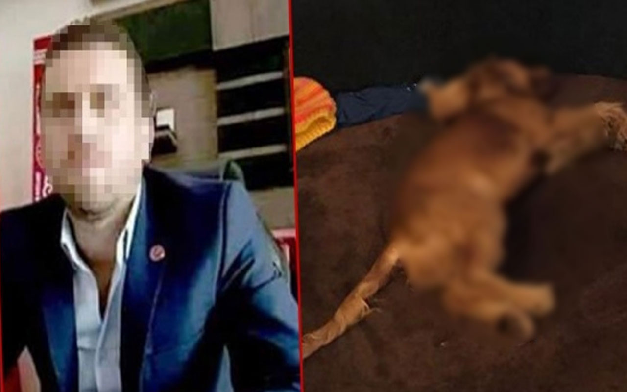 Köpeğe tecavüz ederek öldürdü! Sosyal medyada Volkan Uzun tepkisi