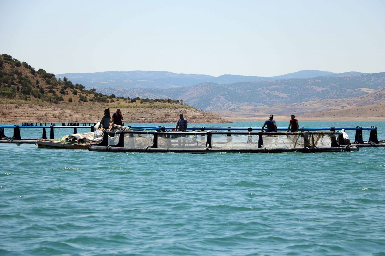 Denize kıyısı olmayan Yozgat’ta yıllık bin ton alabalık üretiliyor