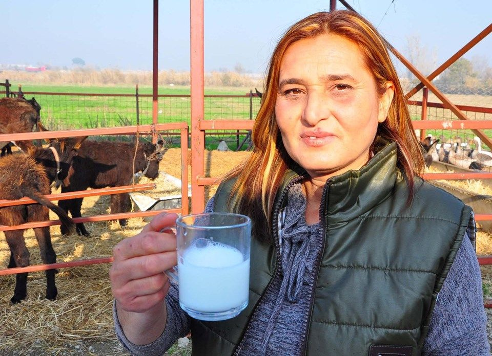 İzmir'de eşek sütü çiftliği kurdu! Eşek sütünün litresi 120 lira kansere deva