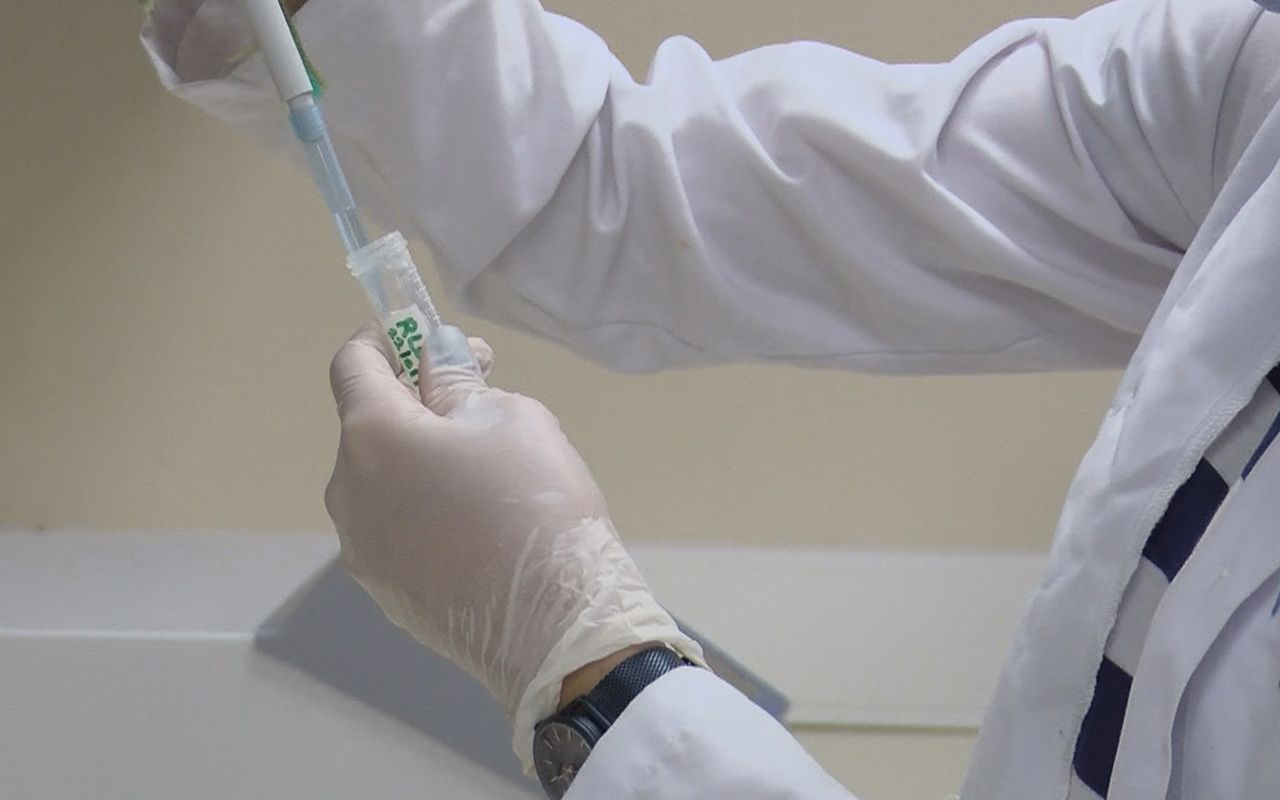 Koronavirüs aşı müjdesi Ankara'dan geldi! İnsanlar ve maymunlarda denenecek