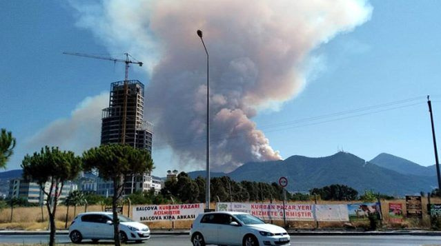 İzmir'de büyük orman yangını! Dumanlar şehirden görülüyor