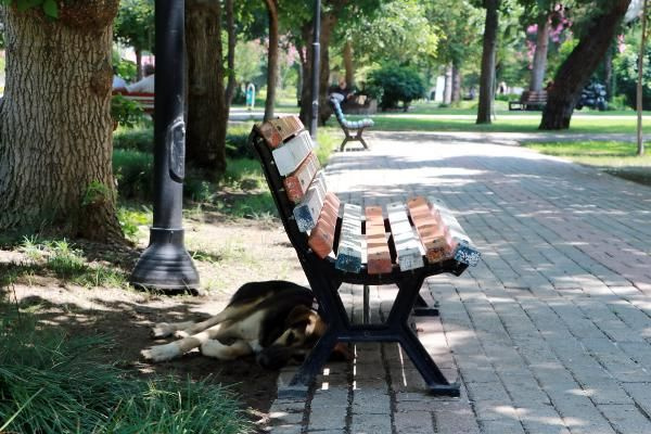 Kurban Bayramı'nda 'eyyam-ı bahur' etkili olacak! Bu saatlerde dışarıya çıkmayın