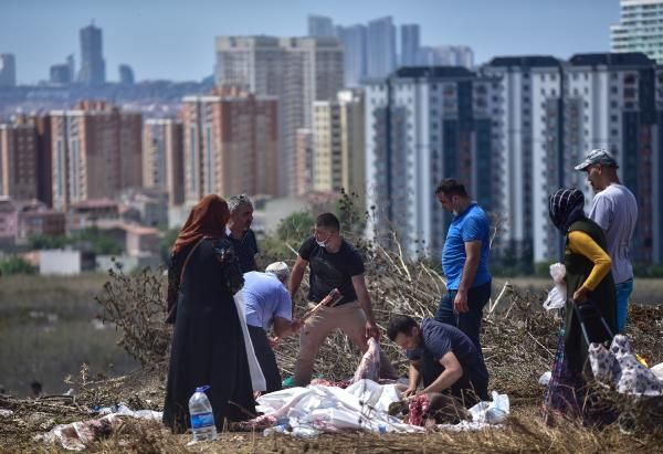 Kaçak kurban kesimi korona da dinlemedi! İzmir ve İstanbul'da her yer kaçak kesim