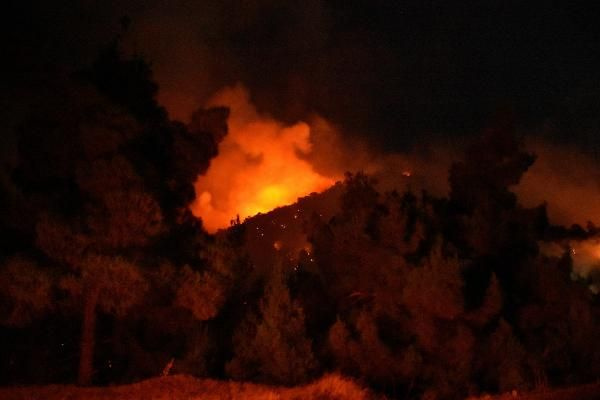 Manisa'nın Ahmetli ilçesinde orman yangını! 12 saattir her yer alev alev