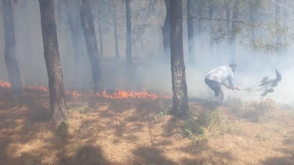 Kartal Aydos'ta ormanlık alanda korkutan yangın