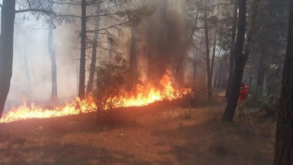 Kartal Aydos'ta ormanlık alanda korkutan yangın