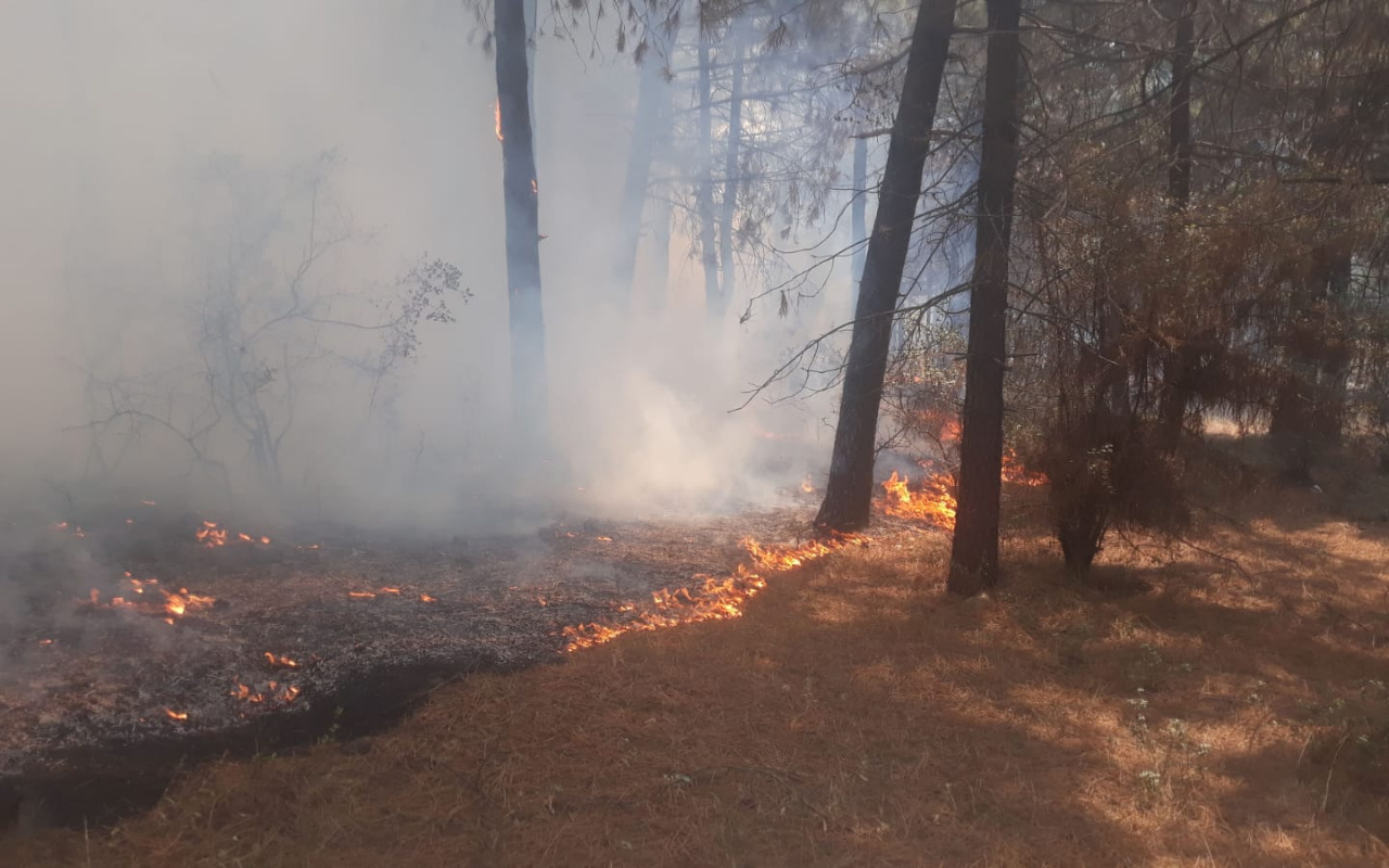 Kartal Aydos'ta ormanlık alandaki yangın kontrol altına alındı