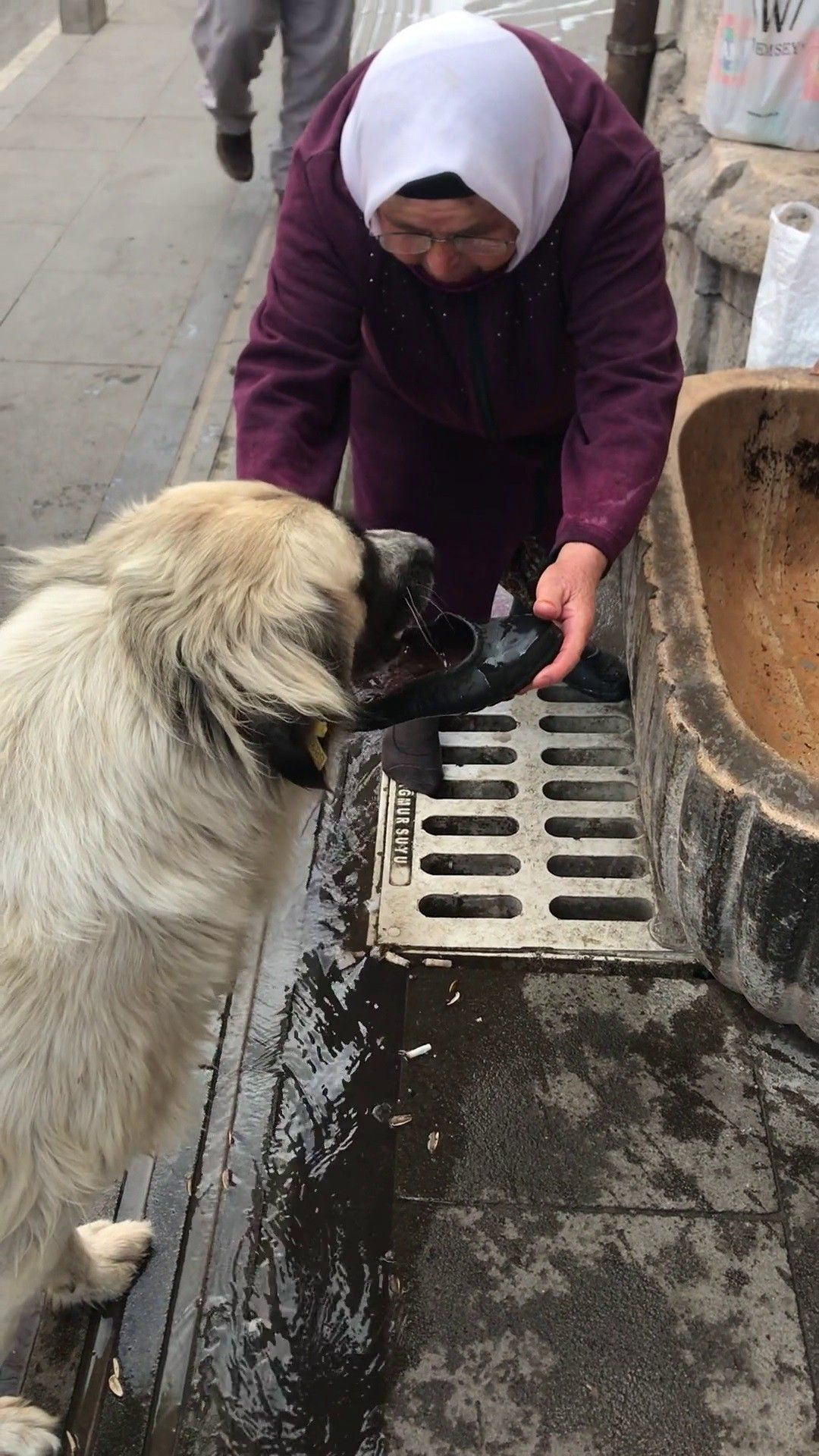Sivas'ta lastik ayakkabısıyla köpeğe su içiren Hatice teyze mest etti