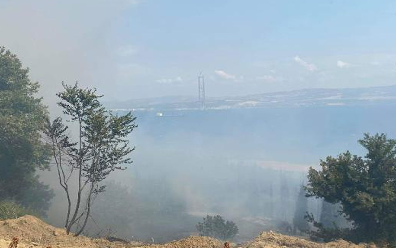 Çanakkale Gelibolu'da orman yangını çıktı