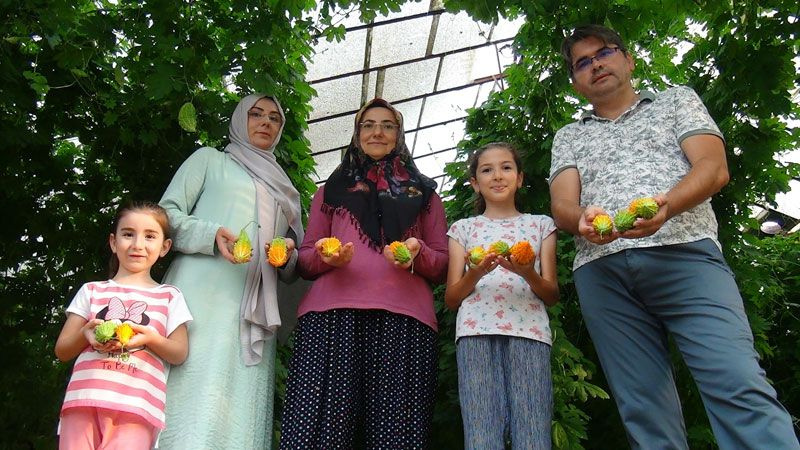 Antalya'da işsiz kalınca bahçesine serasını kurdu hayatı değişti
