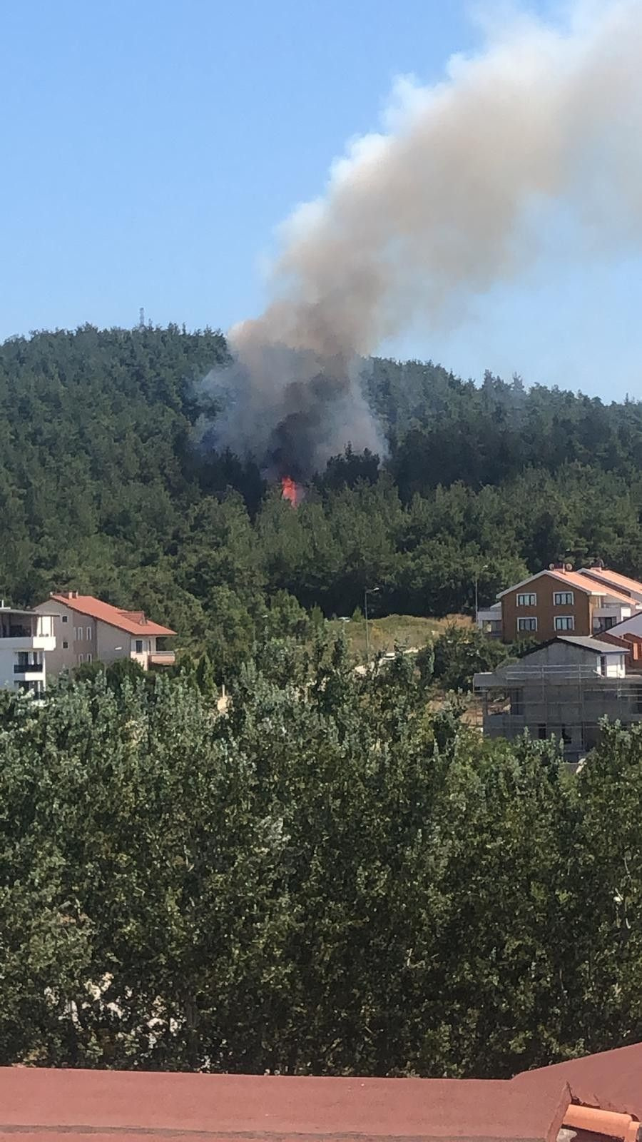Bursa'da orman yangını! Villaların bahçeleri yanmaya başladı