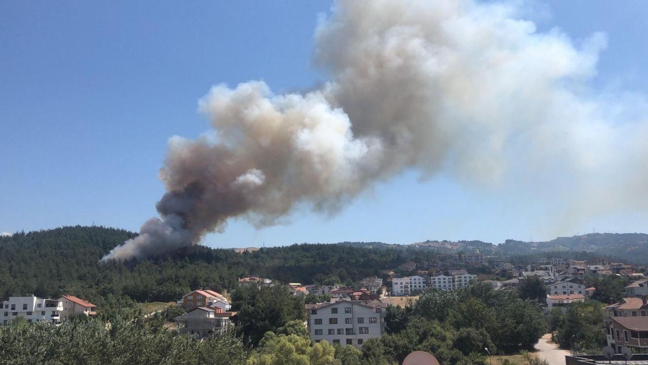Bursa'da orman yangını! Villaların bahçeleri yanmaya başladı