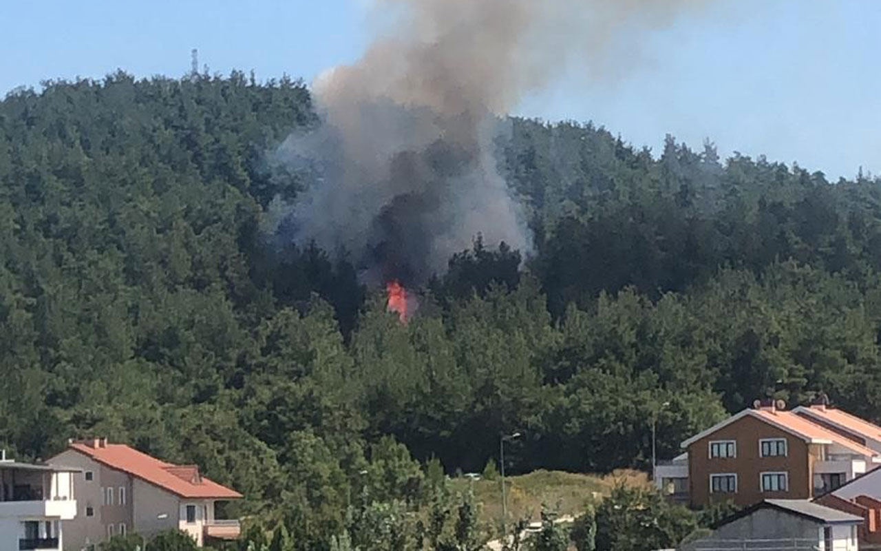 Bursa'da orman yangını! Villaların bahçelerine kadar geldi