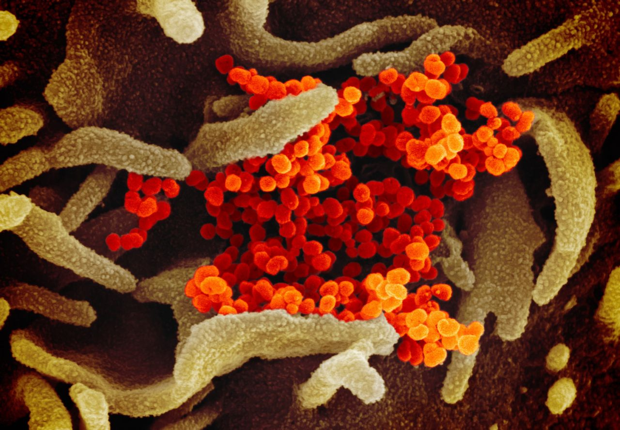 Mutasyon geçirmiş yeni koronavirüs çıktı bu virüs 10 kat daha bulaşıcı