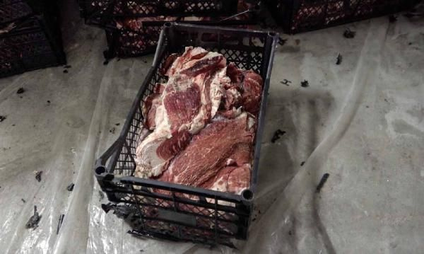 Adana'da 39 ton kokmuş eti vatandaşa yedireceklerdi