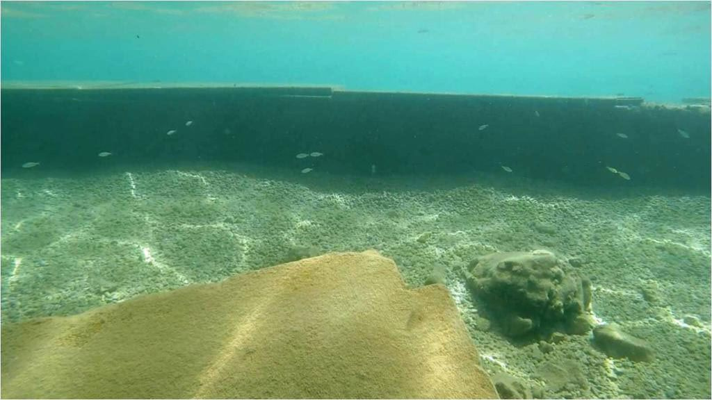Bodrum'da deniz dibinde kaçak yapılar ortaya çıktı metrelerce uzunlukta