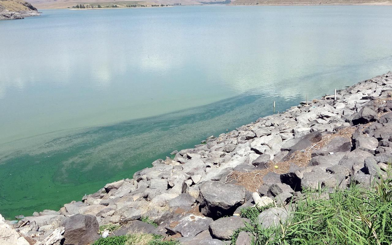 Van'da barajda oluşan tabaka tedirgin etti içme suyu olarak da kullanılıyor