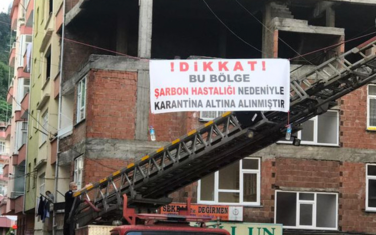 Trabzon Sürmene'de şarbon alarmı! Dağıttığı et herkesi hastanelik etti