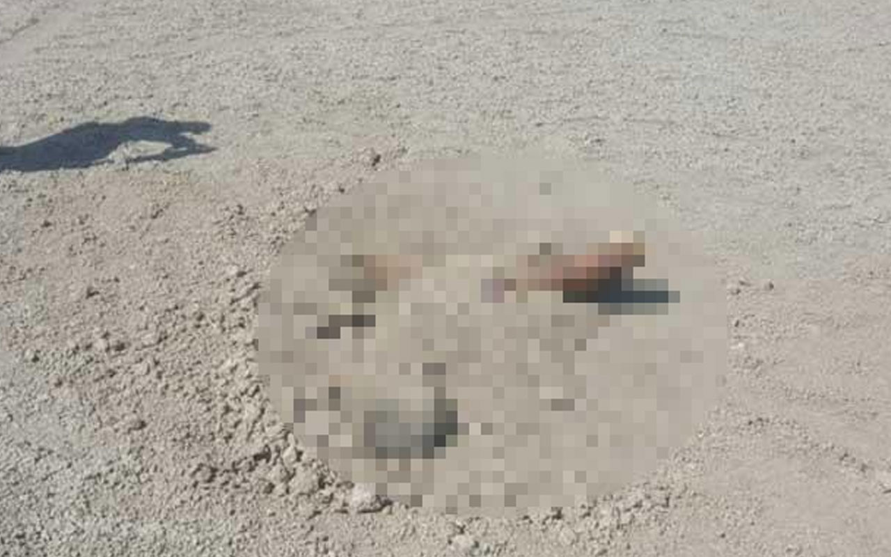 Erzincan'da toprağa gömülü ceset bulundu! Soruşturma başlatıldı