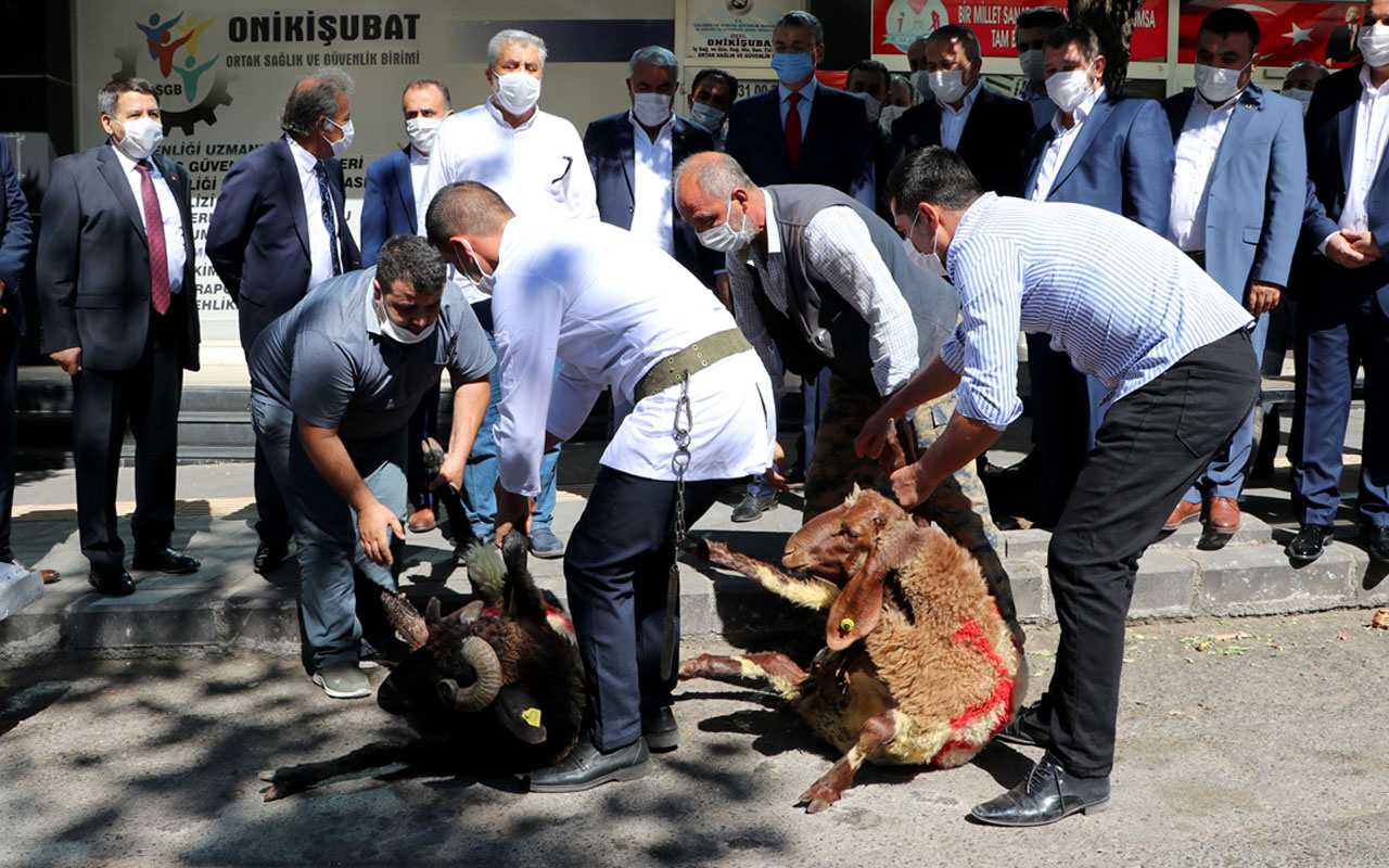 Kahramanmaraş'ta 'doğalgaz müjdesi'ne kurban kesildi