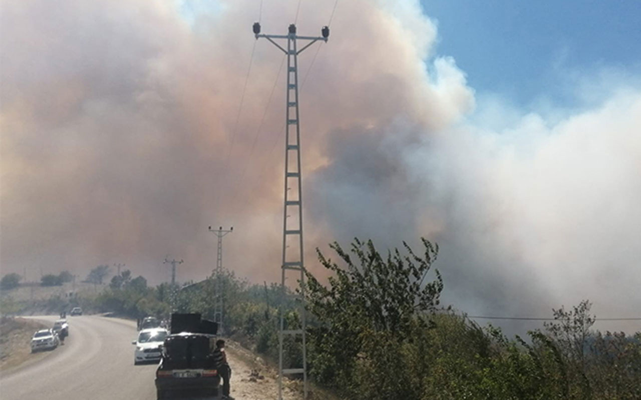 Adana'nın Kozan ilçesinde orman yangını