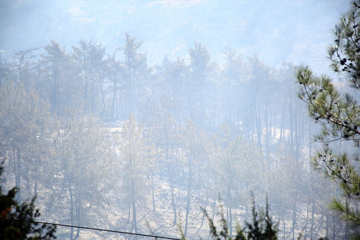 Adana Kozan'daki yangın tam 36 saattir söndürülemedi!