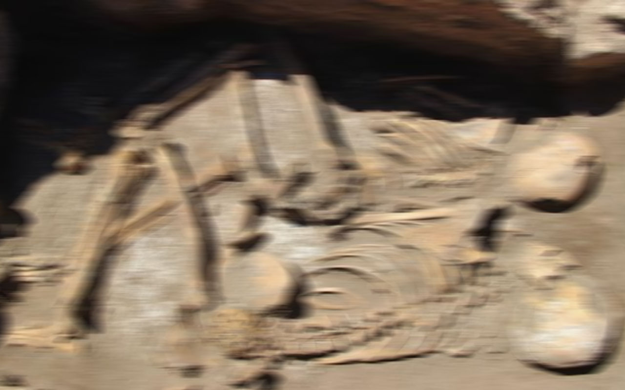 Bilecik'te apartman bahçesindeki kazıda bulundu! 8 bin 500 yıllık insan iskeleti şaşırttı