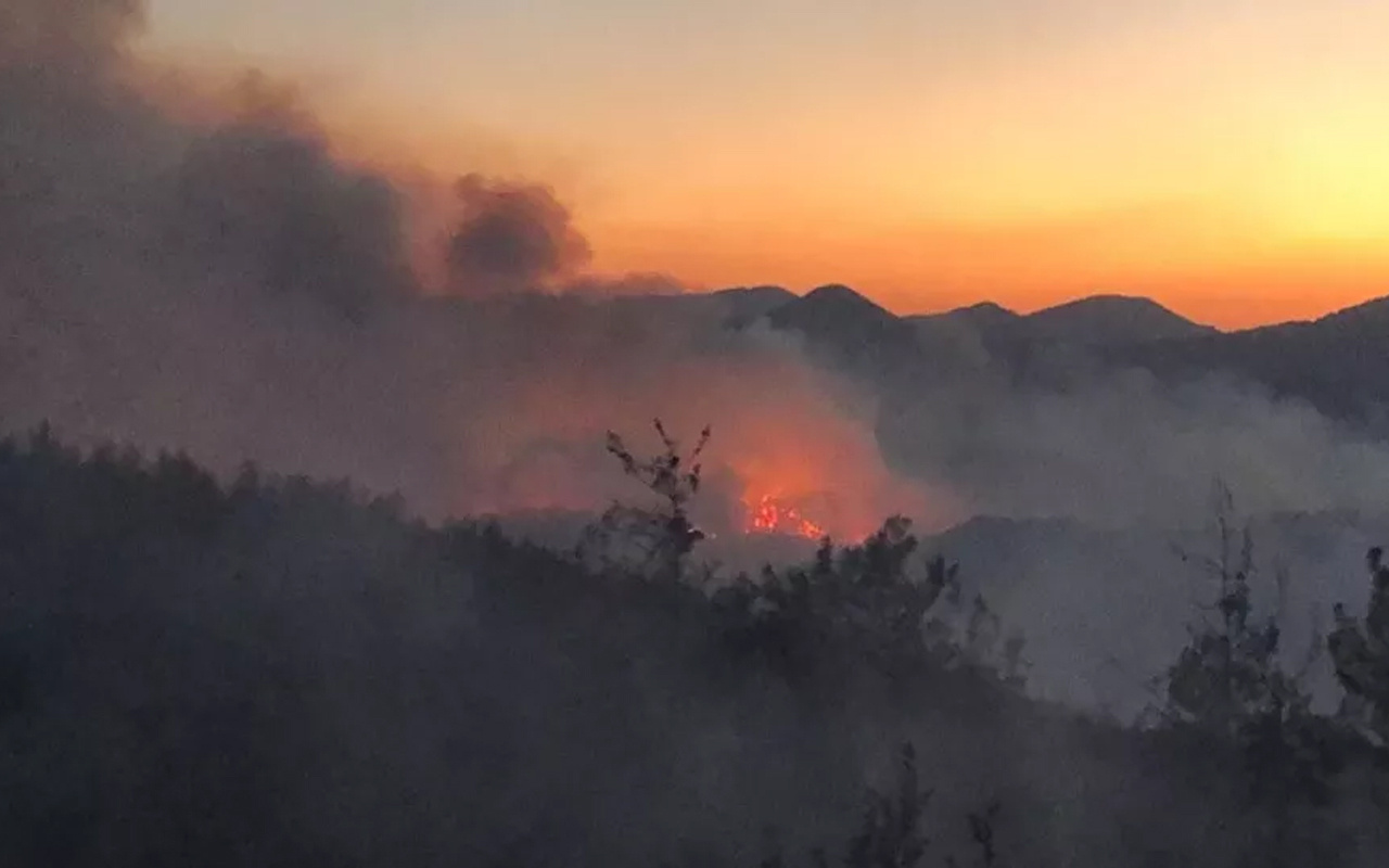 Kozan'daki orman yangını hala kontrol altına alınabilmiş değil