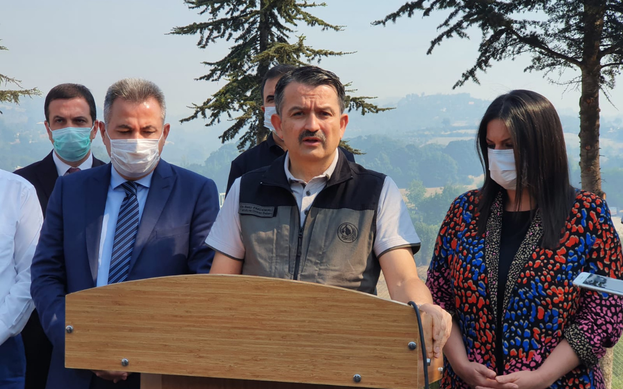 Bakan Pakdemirli: Adana Kozan'daki yangın kontrol altında