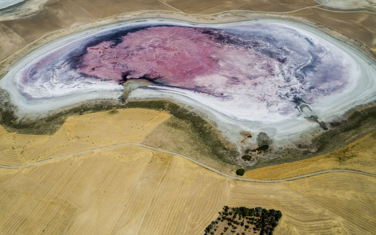 Konya'da ortaya çıktı doğanın dengesi bozuldu gölün hali ürküttü