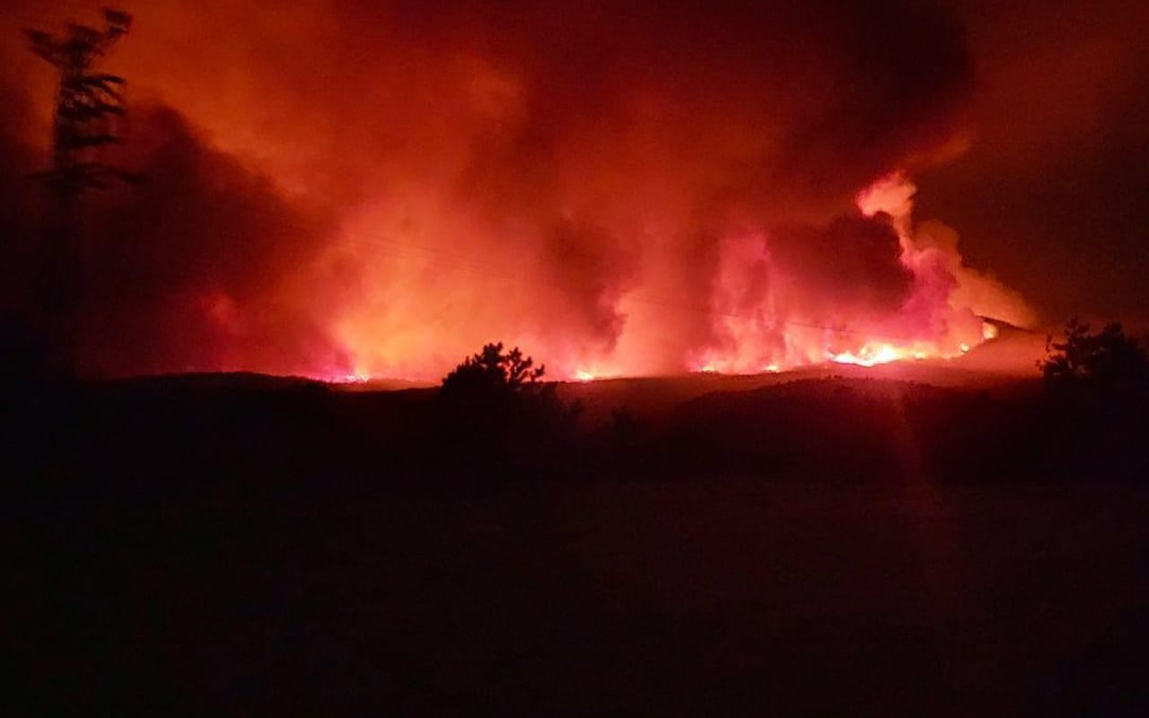 Ankara'da orman yangını! Saatler sonra söndürüldü