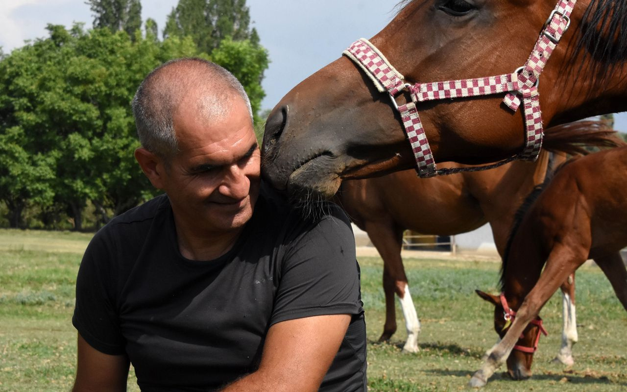 Konya'da Türkiye'nin şampiyon atları bal ve pekmezle yetiştiriliyor