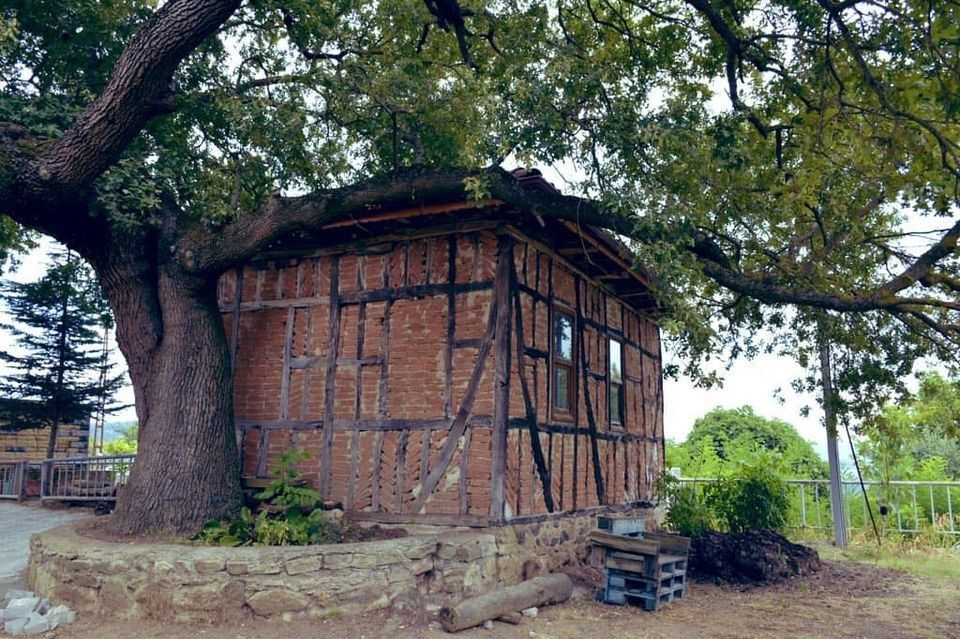 Osmanlı'dan günümüze ulaştı! Türkiye'nin en küçüğü restore edilecek