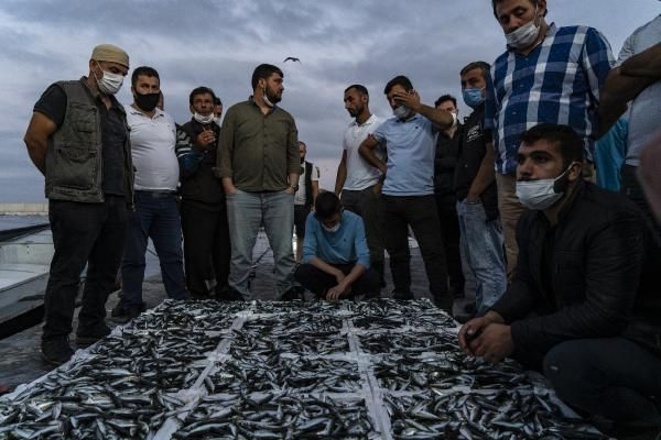 Vira Bismillah! Balıkçıların gözdesi palamut mezatta 10 liradan alıcı buldu