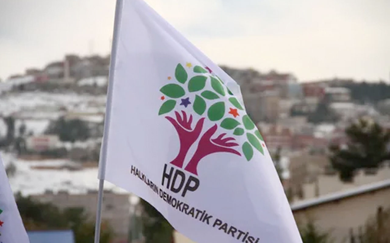 Sosyalistlerden HDP'ye Sevr tepkisi! Onların yeri Sevr’in yanı tarihin çöplüğüdür