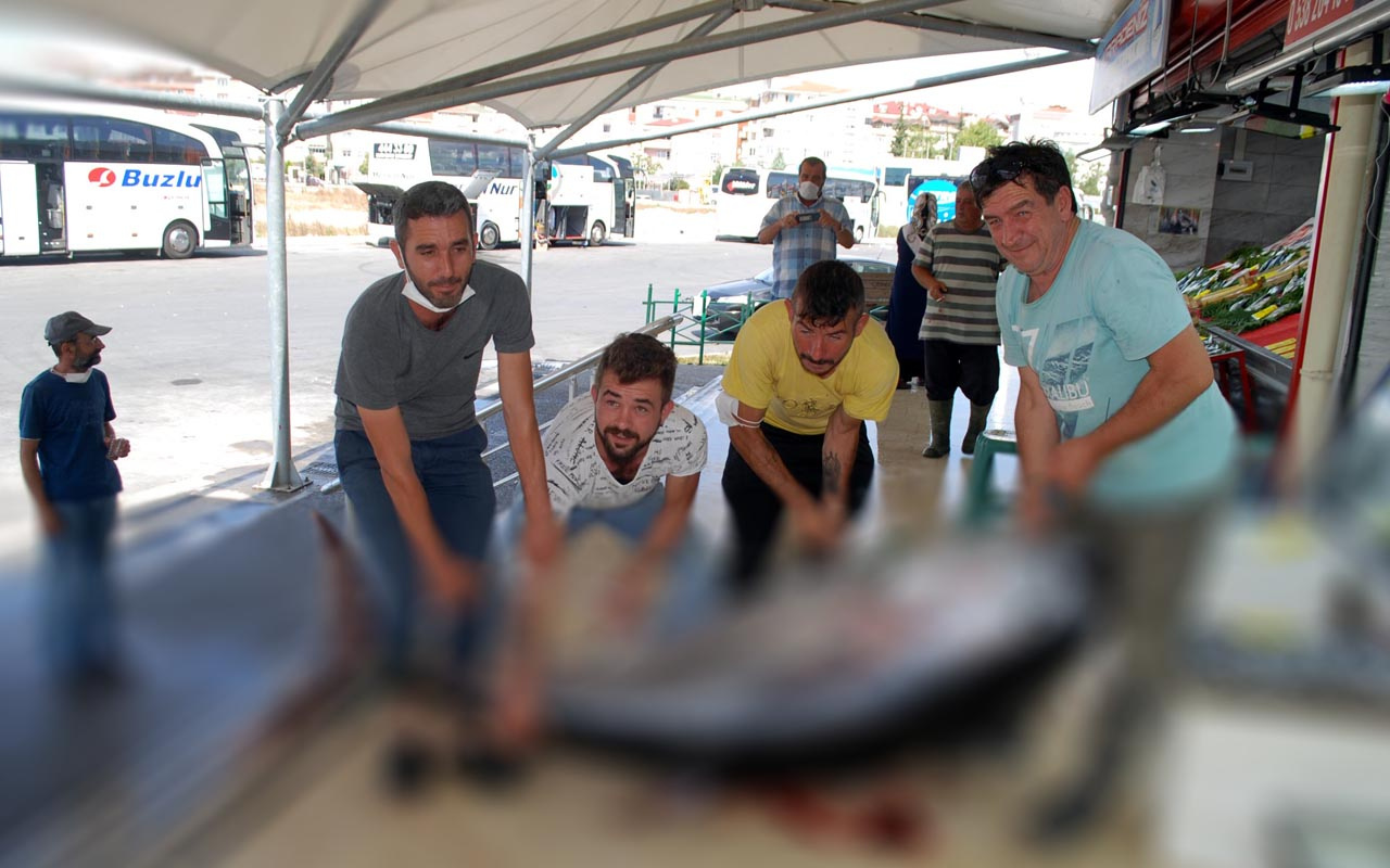 4 kişi zor kaldırdı Saros Körfezi'nde yakalanan dev orkinosu gören telefona sarıldı