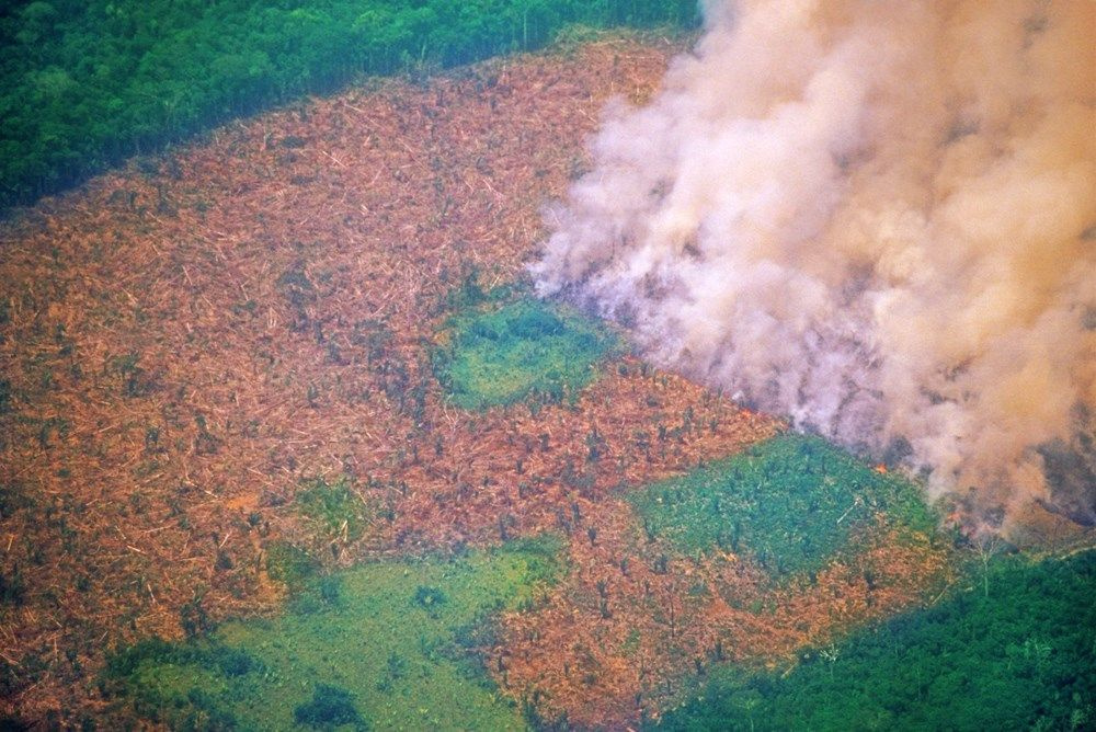 Amazon'da hayatları için savaşıyorlar! İşte yıkımın en acı fotoğrafları