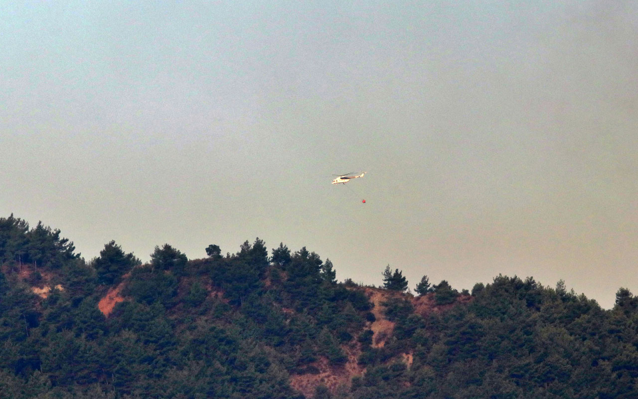 Hatay Antakya'da 2 gün önce başlayan orman yangını sürüyor!
