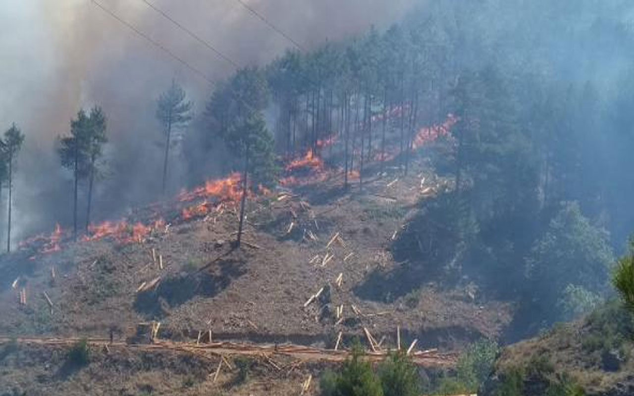 Adana Pozantı'da orman yangını çıktı