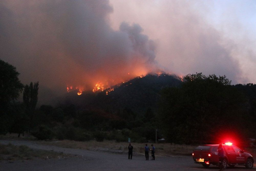 Adana’da bir ay içinde üçüncü büyük yangın! Orman yangını sabotaj mı?