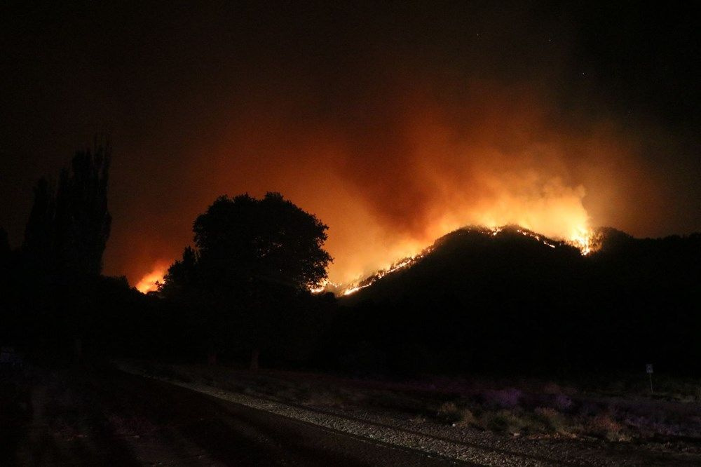 Adana’da bir ay içinde üçüncü büyük yangın! Orman yangını sabotaj mı?