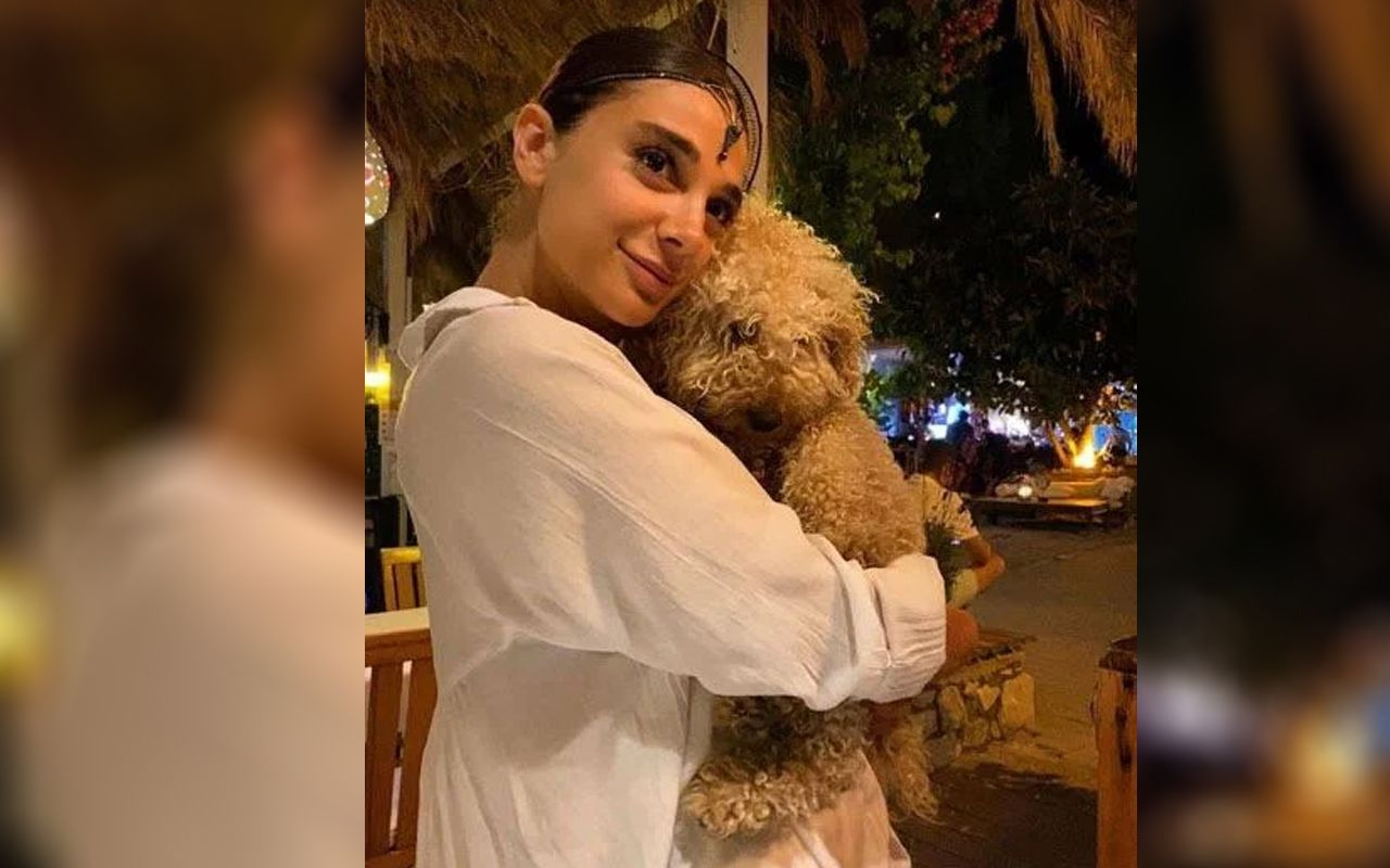 Pınar Gültekin cinayeti sanığı Cemal Metin Avcı eşine tazminat ödeyecek
