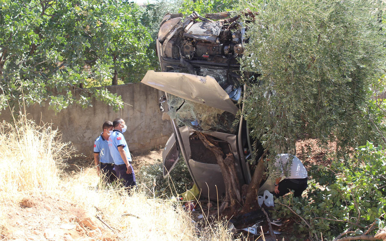 Gaziantep'te feci kaza! Tarlaya uçtu ok gibi ağaca saplandı