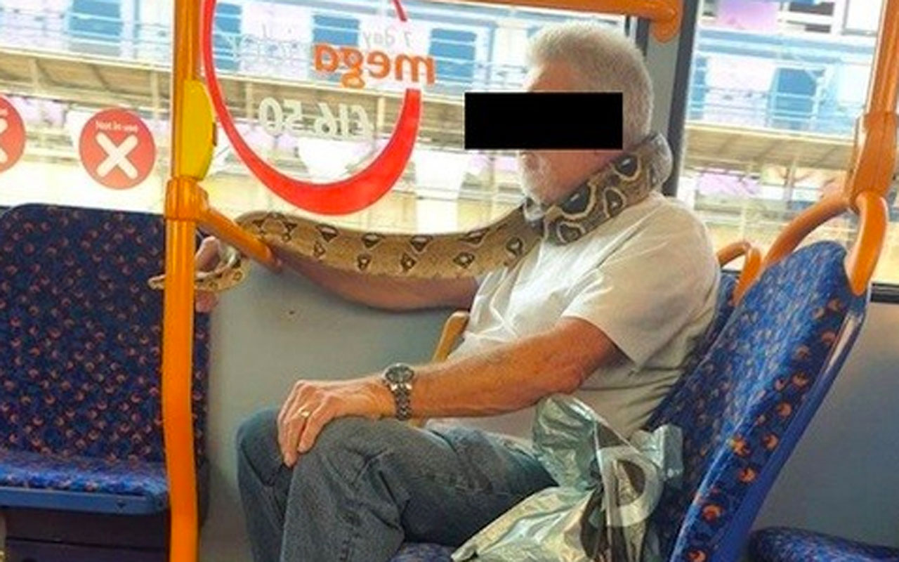 Yılanı boynuna sarıp otobüse bindi o anlar kamerada