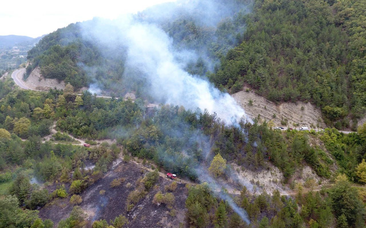 Sinop'ta yaşlı adam otları temizlemek isterken 20 hektarlık ormanı yaktı
