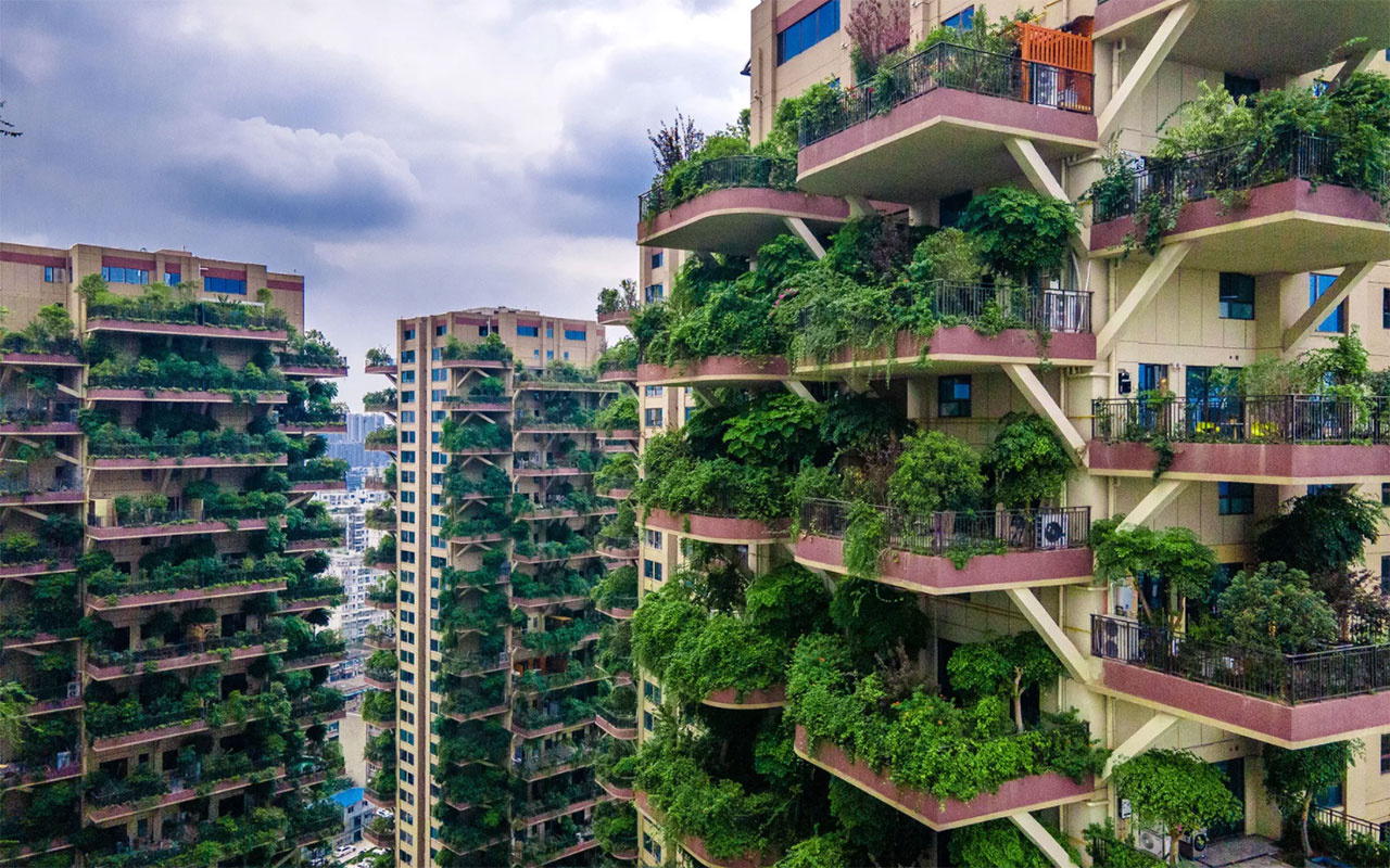 Orman apartmanı yaptılar ekolojik cennet hayali tam bir felakete dönüştü