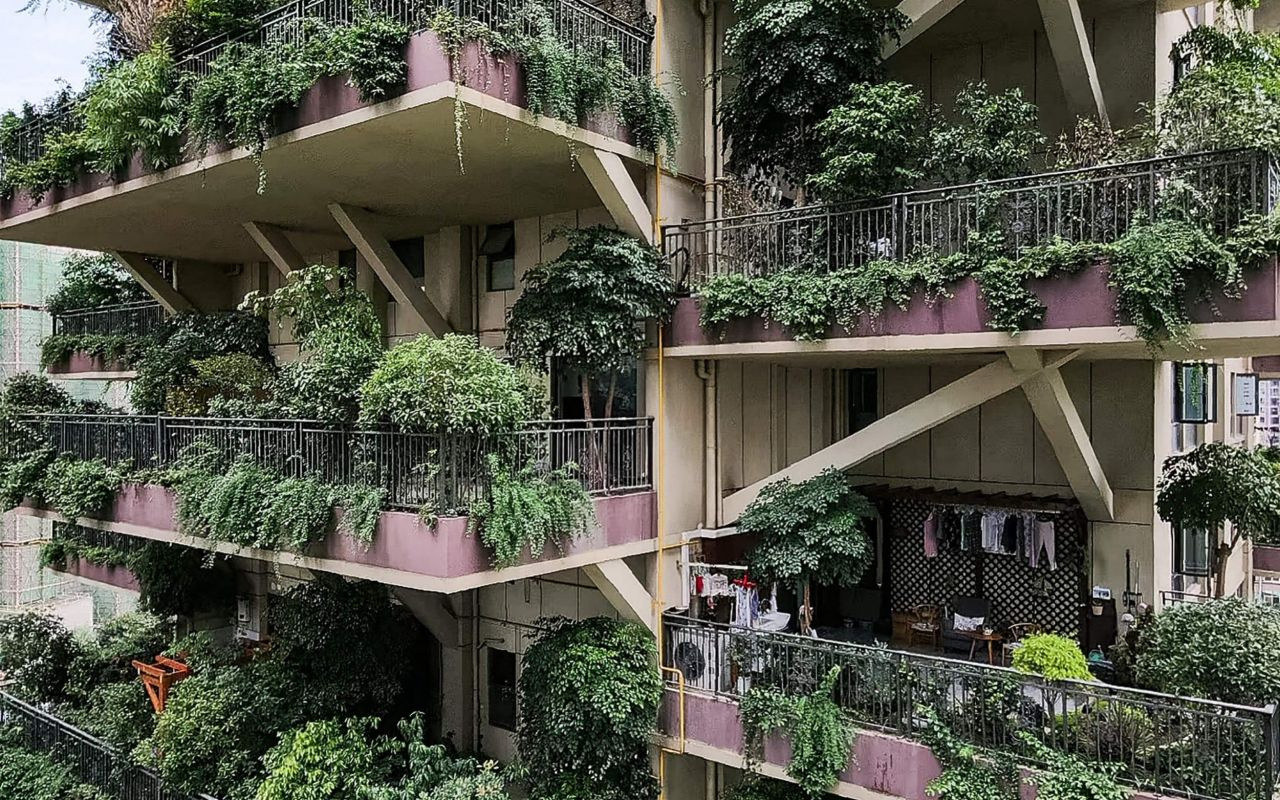 Orman apartmanı yaptılar ekolojik cennet hayali tam bir felakete dönüştü