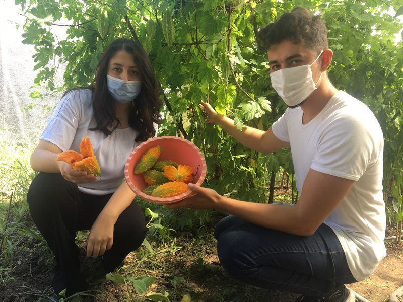 Bartın'da üretiliyor dört bir yandan sipariş yağıyor! Her derde deva