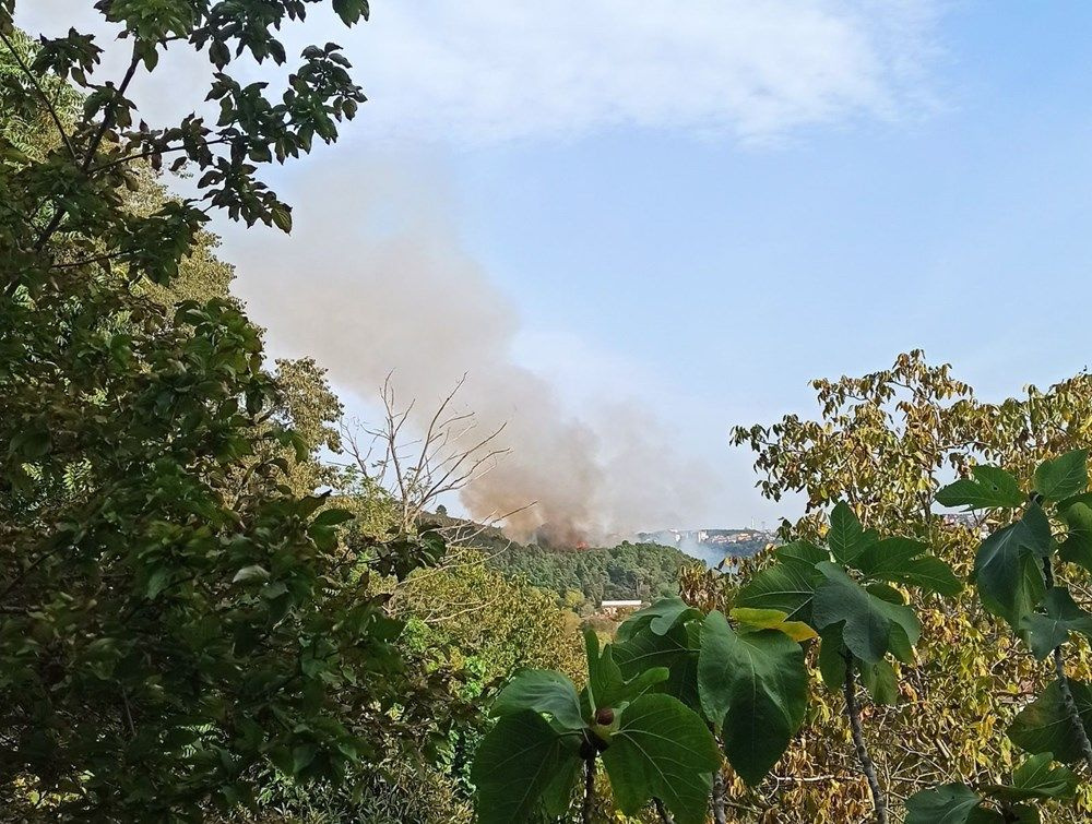 Beykoz'da büyük çaplı yangın! Ormanlık alanda alevler hakim oldu