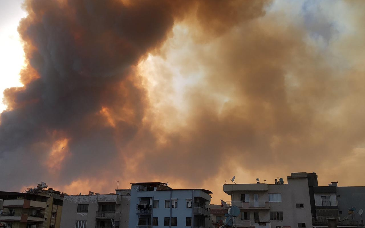 Aydın Söke alevlere teslim oldu! Korkutan yangında 50 hane boşaltıldı